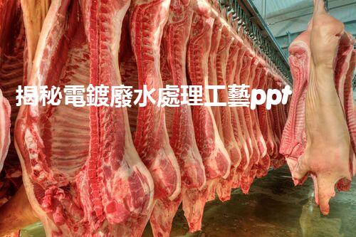 揭秘電鍍廢水處理工藝ppt：如何實(shí)現(xiàn)污水零排放？